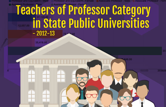 Banner of Teachers of Professor Category in State Public Universities – 2012-13