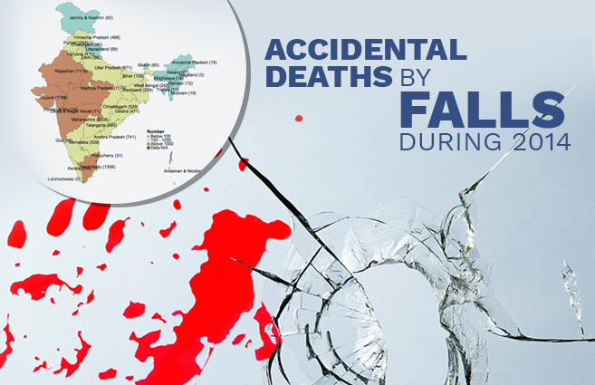 Banner of Accidental deaths by Falls during 2014