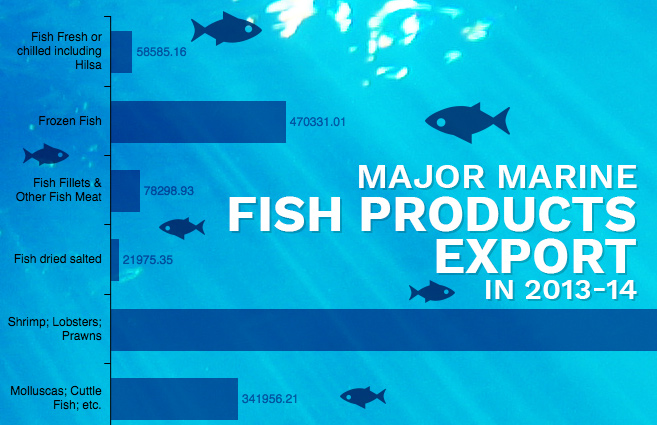 Banner of Major Marine Fish Products Export in 2013-14