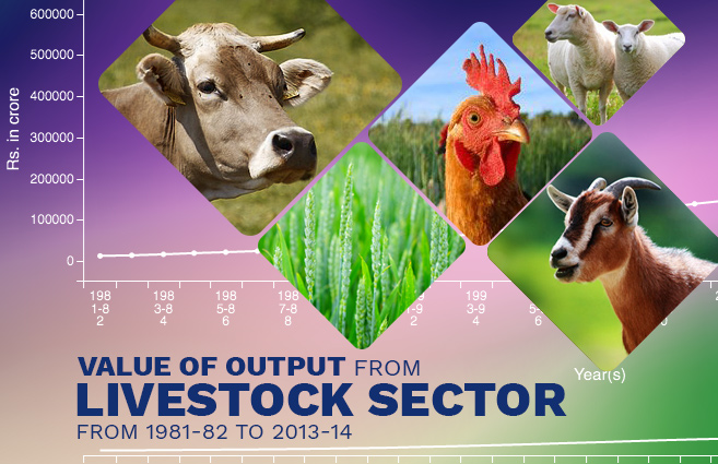 Banner of Value of Output from Livestock Sector from 1981-82 to 2013-14