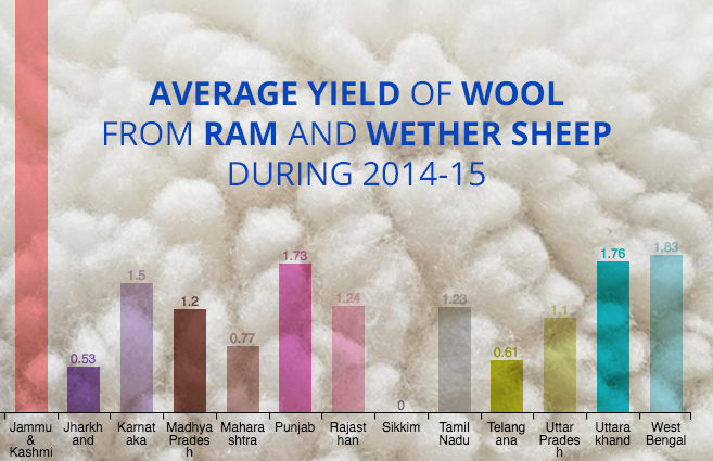 Banner of Average Yield of Wool from Ram and Wether Sheep during 2014-15