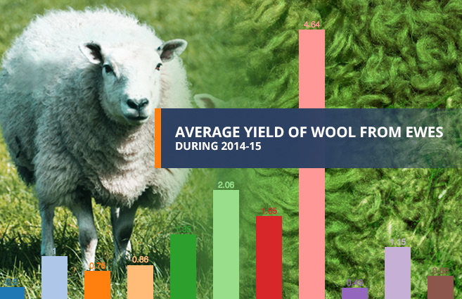 Banner of Average Yield of Wool from Ewes during 2014-15