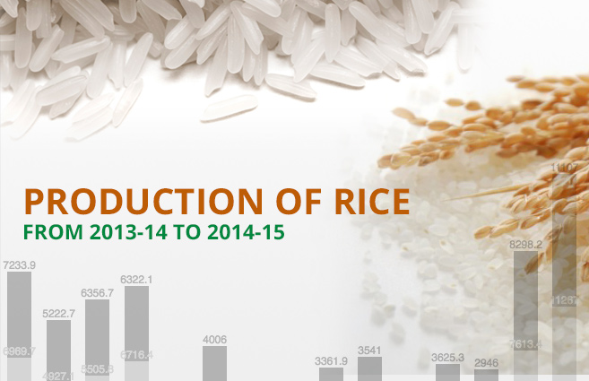 Banner of Production of Rice from 2013-14 to 2014-15