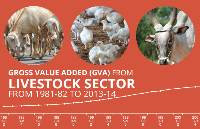 Banner of Gross Value Added (GVA) from Livestock Sector from 1981-82 to 2013-14