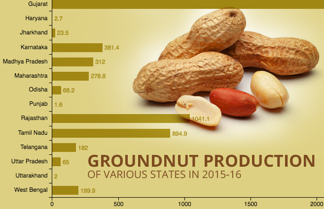 Banner of Groundnut Production of Various States in 2015-16