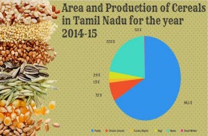 Banner of Area and Production of Cereals in Tamil Nadu during 2014-15
