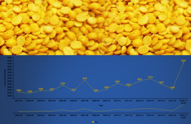 Banner of Production of Tur Pulses in India from 2001-02 to 2016-17