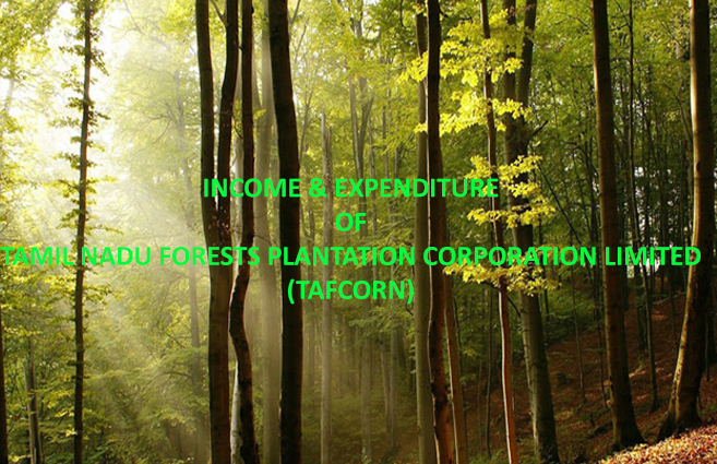 Banner of Tamil Nadu Forest Plantation Corporation, Tiruchirapalli Income and Expenditure (Revised Estimate) : SHB 2018