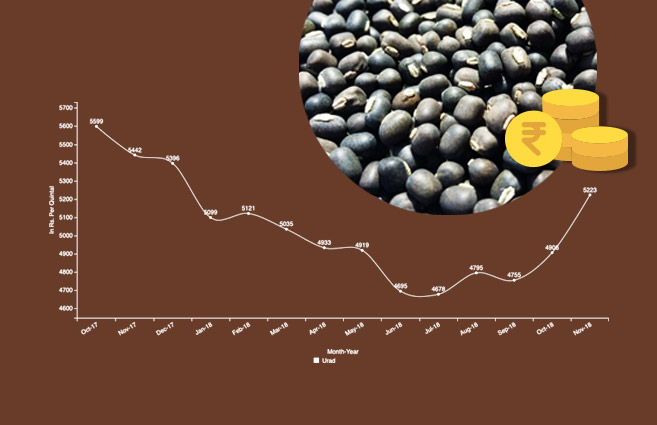 Banner of Average Monthly Wholesale Price of Urad (Kharif Crop) from October-2017 to November-2018