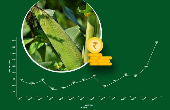 Banner of Average Monthly Wholesale Price of Maize (Kharif Crop) from October-2017 to November-2018