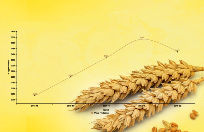 Banner of Wheat Production in India from 2015-16 to 2019-20