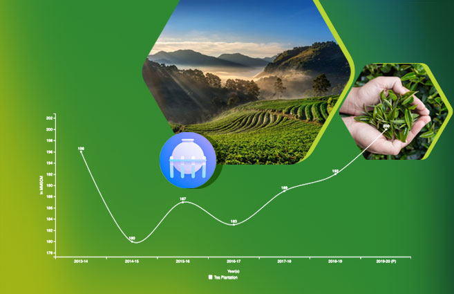 Banner of Consumption of Natural Gas in Tea Plantation Sector in India from 2013-14 to 2019-20