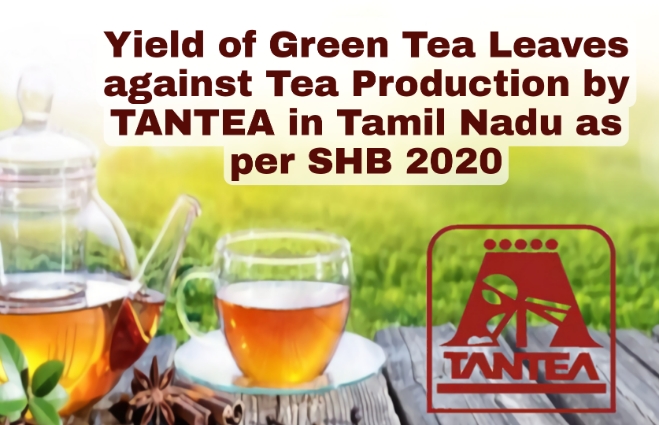 Banner of Yield of Green Tea Leaves against Tea Production by TANTEA in Tamil Nadu as per SHB 2020