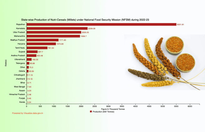 Banner of State-wise Production of Nutri-Cereals (Millets) under National Food Security Mission (NFSM) during 2022-23