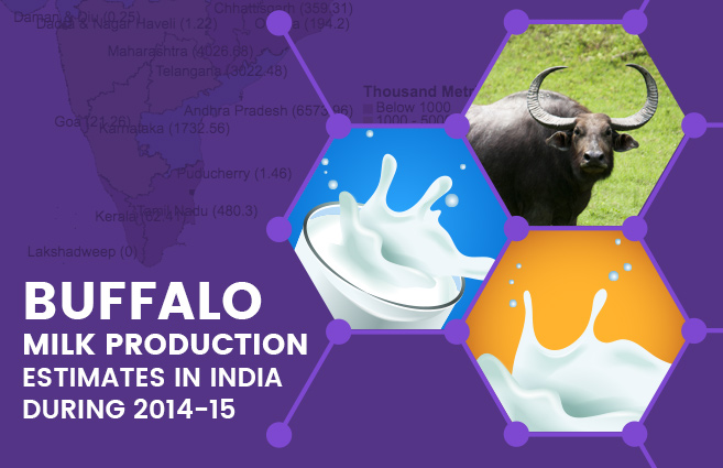 Banner of Buffalo Milk Production Estimates in India during 2014-15