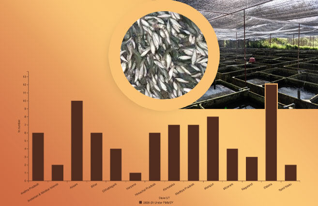 Banner of State/UT-wise Establishment of Fish Seed Hatcheries under PMMSY during 2020-21