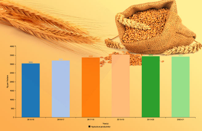 Banner of Agriculture Productivity of Wheat from 2015-16 to 2020-21