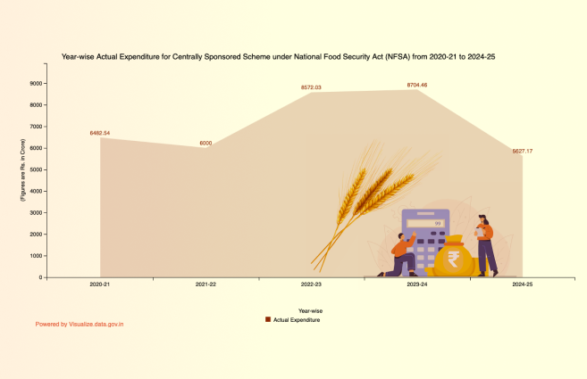 Banner of Year-wise Actual Expenditure for Centrally Sponsored Scheme under National Food Security Act (NFSA) from 2020-21 to 2024-25
