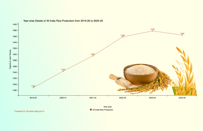 Banner of Year-wise Details of All India Rice Production from 2019-20 to 2024-25